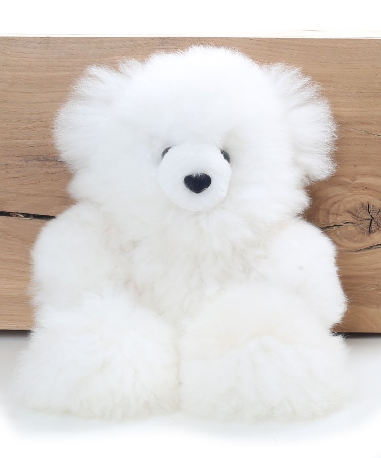 small white teddy bear